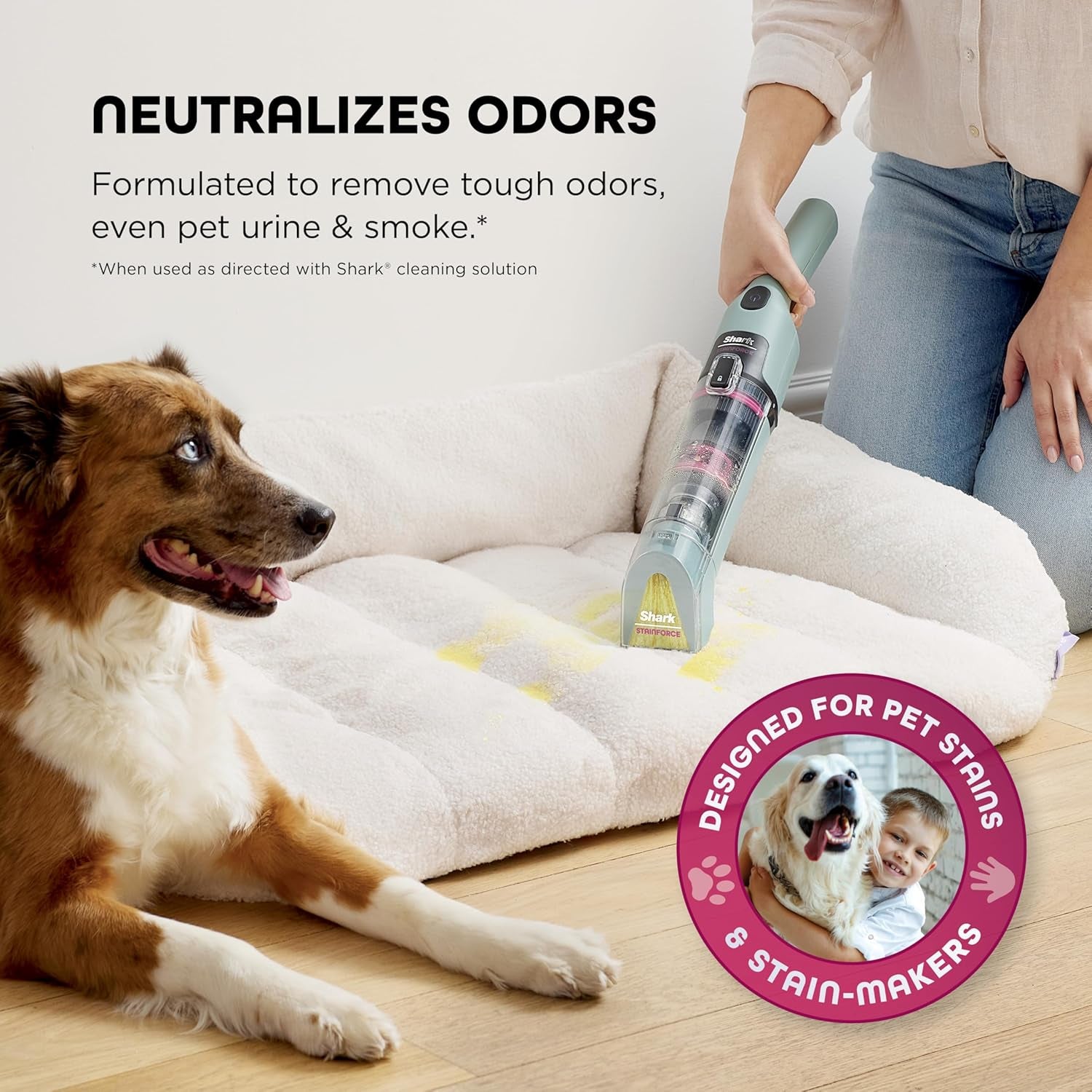 Shark Stainforce Cordless Stain, Odor & Urine Remover, 2 Tools, Caddy HX101