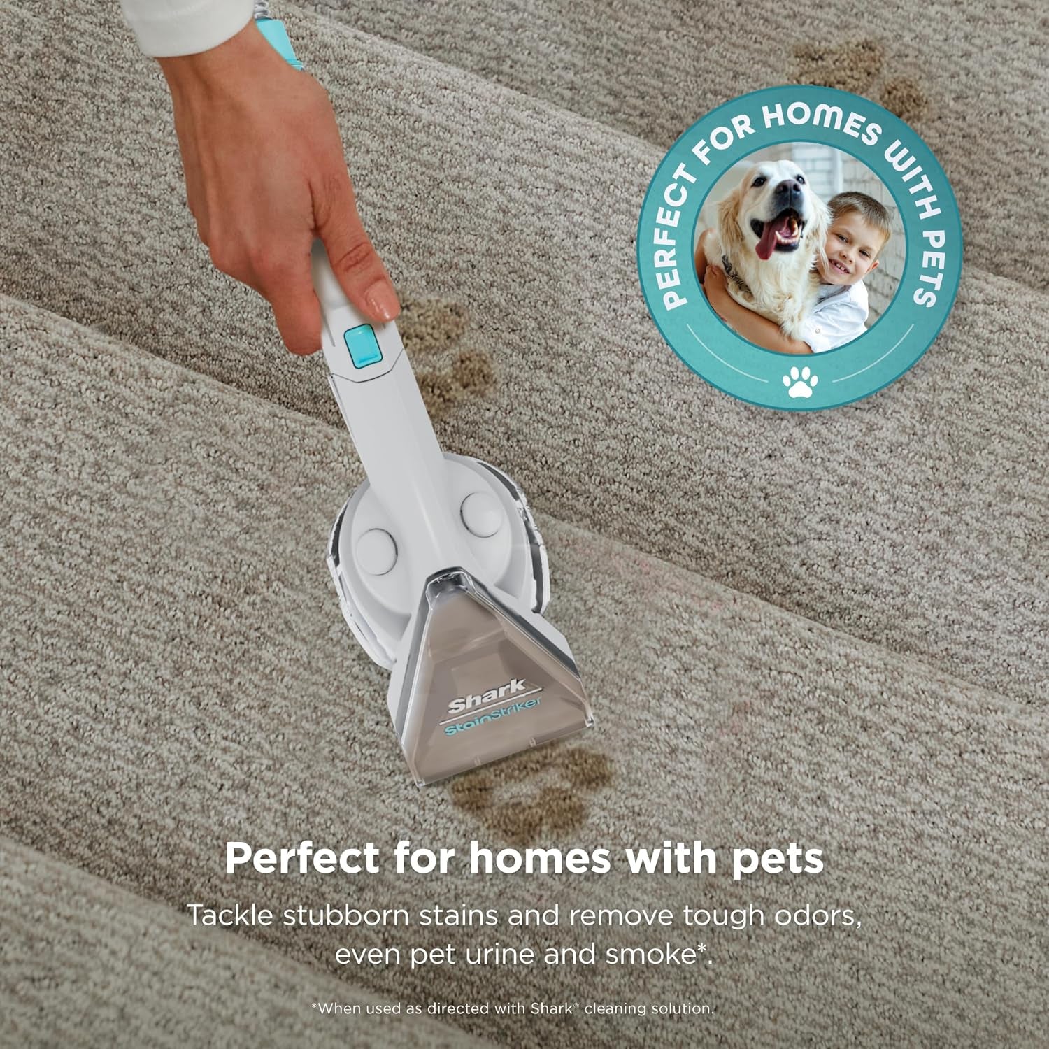 Shark Stainstriker Portable Carpet/Upholstery Cleaner, 3 Tools, PX201