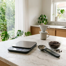 Sourdough Proofing & Baking Essentials - DailyStock
