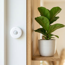 Smart Motion Sensor Setup Guide - DailyStock